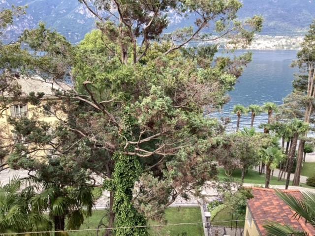 Wonderful Lake Front Appartment Near Bellagio Limonta Extérieur photo